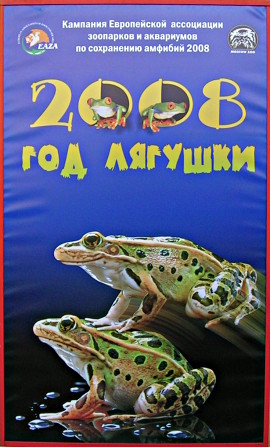 2008 - год лягушки